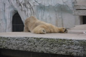 IMG_0376.JPG