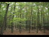 IMG_1854.JPG