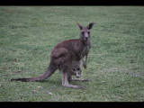 IMG_8435.JPG